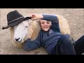 Hatten er din Norwegian sheep version