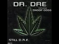 D.R.E. Still [LP Version]