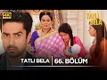 Download Lagu Tatlı Bela Hint Dizisi  | 66. Bölüm @kanal7