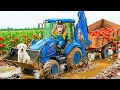 Monkey Sisi Drives the JCB Tractor Excavator Harvest Tomato \u0026 Rescues a Puppy Gets Stuck in Mud!