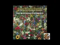 Lagu Another Mantovani Experience  - By The New Light Symphony Orchestra - The Mantovani Experience -