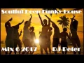 Download Lagu Soulful Deep Funky House Mix 6 2017 -  DJ Peter