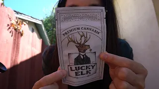 TRYING LEAFLY S 2024 STRAIN OF THE YEAR