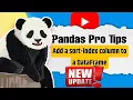 Pandas Pro Tips Add a Sort-Index Column to a DataFrame with Pandas