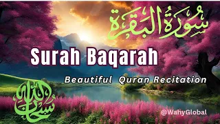 Surah Al-Baqara #islamicstatus #recitation #quran #shorts #youtubeshorts #palestine #islam#ramadan