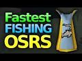 Fastest Fishing XP in 2026 OSRS