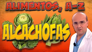 ALCACHOFAS, SUS ASPECTOS MÁS IMPORTANTES