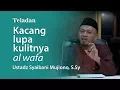 Download Lagu Teladan : Kacang Lupa Kulitnya (Al wafa)