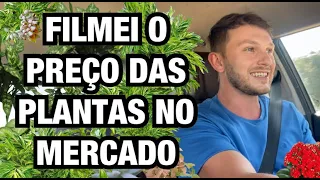 SEMPRE que vou ao MERCADO eu paro na PARTE DE PLANTAS 🤭 | Henrique Buttler