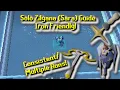OSRS How to Dominate Zilyana in Old School RuneScape