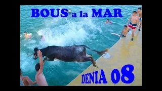 مصارعة الثيران في الشواطئ البحر الاسباني الضحك بلاحدود 