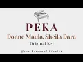 Download Lagu Peka - Donne Maula ft. Sheila Dara (Original Key Karaoke) - Piano Instrumental Cover with Lyrics
