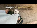 Lagu “Aku Tidak Punya Siapa-Siapa… Tolong Jangan Tinggalkan Aku” | Bayi Kucing dan Harapan Terakhirnya..