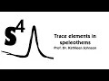 Trace elements in speleothems