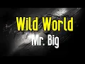 Download Lagu Wild World (KARAOKE) | Mr. Big