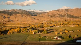 The Ashlawn Estate