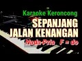 Download Lagu SEPANJANG JALAN KENANGAN, KARAOKE KERONCONG