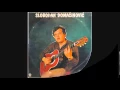 Slobodan Domacinovic Staj,staj (nova verzija)