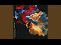 Download Lagu Tell Me Should I’ve Known (Instrumental Version)