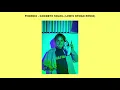 Phoenix - Goodbye soleil (Lewis OfMan Remix)