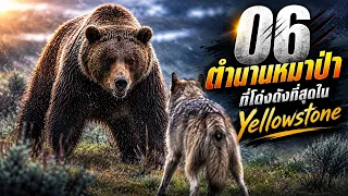 06 ตำนานหมาป่าที่โด่งดังที่สุดใน Yellowstone | จุดกำเนิด Lamar Canyon Pack | EP.1   #Animalpresents