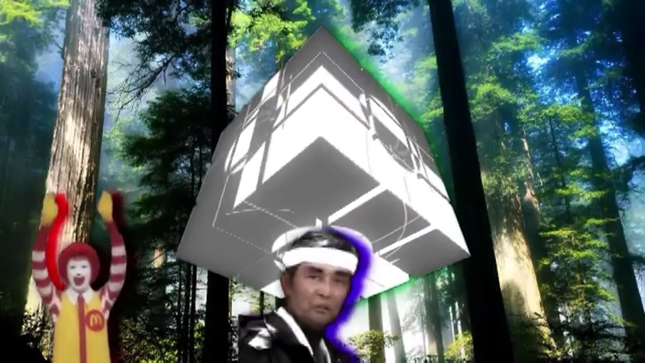 森の入り口
