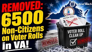UNCOVERED Virginia Removes over 6500 Declared Non-Citizens From Voter Rolls