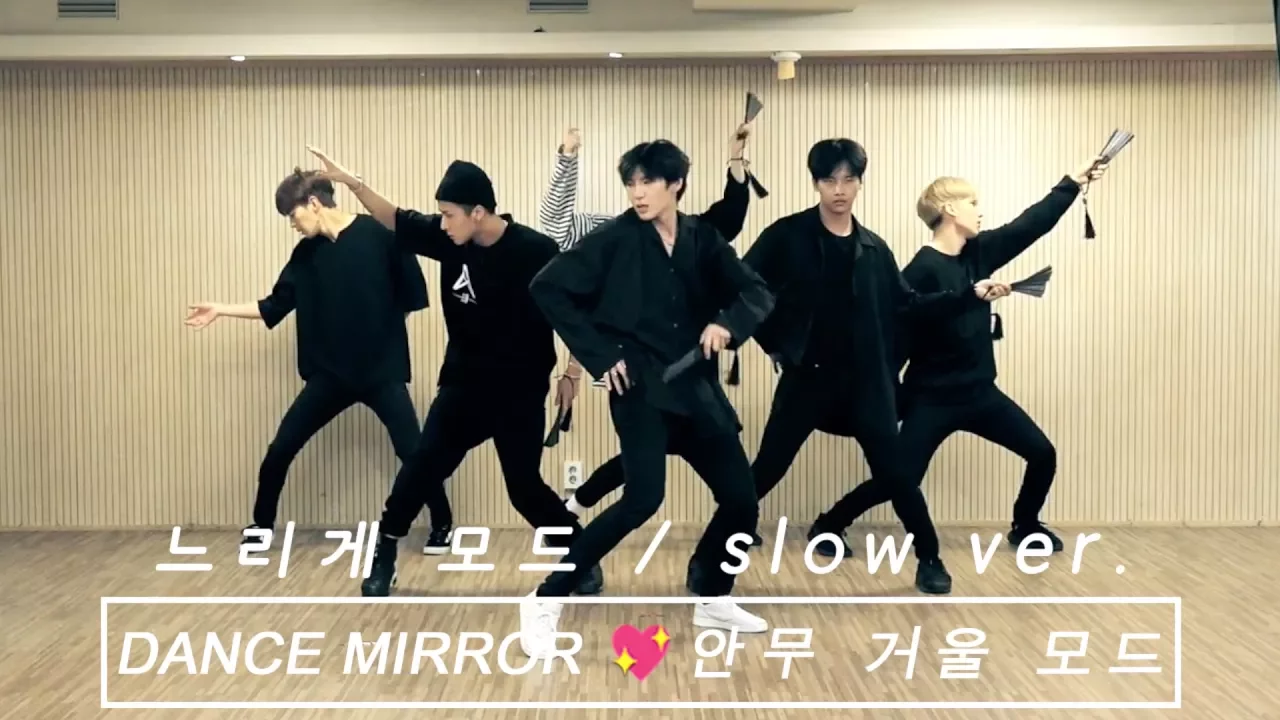 [느리게 모드/SLOW] 빅스 (VIXX) - 도원경(桃源境) (Shangri-La) -MIRRORED- (안무연습 거울모드)