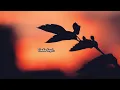 Download Lagu TIADA LAGI - THE MERCY'S + LIRIK