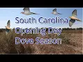 South Carolina Opening Day Dove Season