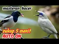 Download Lagu Masteran kacer paling dicari semua penghobi kelas juara