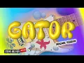 Download Lagu Gator (original Version)
