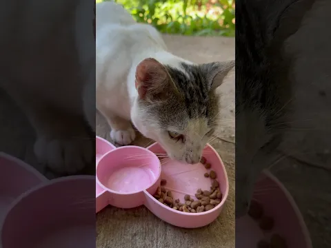 🥹🥹