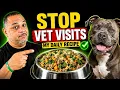 This Simple Maintenance Dog Food Recipe Improves Everything And Prevents Visits