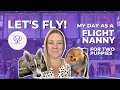 FLIGHT NANNY Three days two pups lots of travel adventures