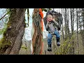 Download Lagu Plane Crash Survival Camping \u0026 Bushcraft Shelter - Surviving like DB Cooper