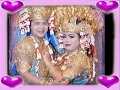 Download Lagu Video Resepsi Pernikahan : Agung Dwi Sepriyanto \u0026 Yulia Nanda Sari, Minggu 05 April 2015 (DVD)