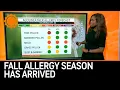 Fall Allergy Season Is Here Unfortunately What Can You Do AccuWeather