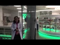 USF Health Pharmacy Plus