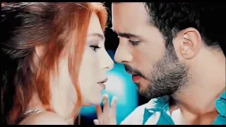 شايف نفسي فيك   حسام حبيب   محمد حليم                 دندنها