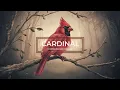 Unlocking the Secrets of Cardinals Symbols of Love Hope and More