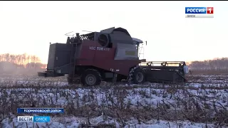В Кормиловском районе полным ходом идет уборка подсолнечника
