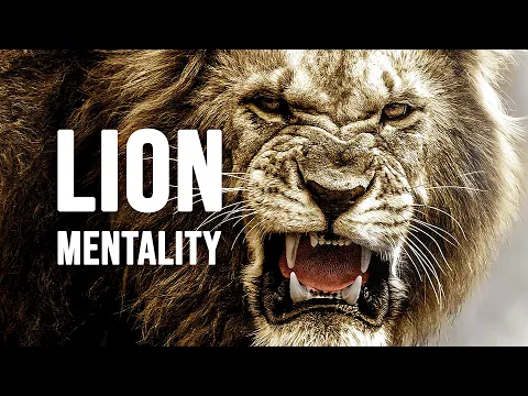 Download MP3 LION MENTALITY - Motivational Video