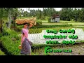Download Lagu Soru Kondu Pora Pulla l Seeraga Samba Nellu Kuthi tamil song with lyrics.
