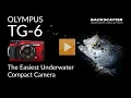 Olympus TG-6 The Easiest Compact Camera for Underwater Photography