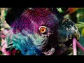 Flume - 2022