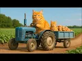 Download Lagu Mama Cat Trims Fur on the Farm and Makes Tiger Hat For Kittens At Home🙀🎩🐯