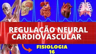 REGULAÇÃO NEURAL DA PRESSÃO ARTERIAL (FISIOLOGIA HUMANA) - FISIOLOGIA CARDIOVASCULAR (GUYTON)