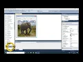 Visual Basic 25 - Radio Button How To Use Radio Button