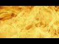 Raiche - Burn Your Clothes [Official Audio]